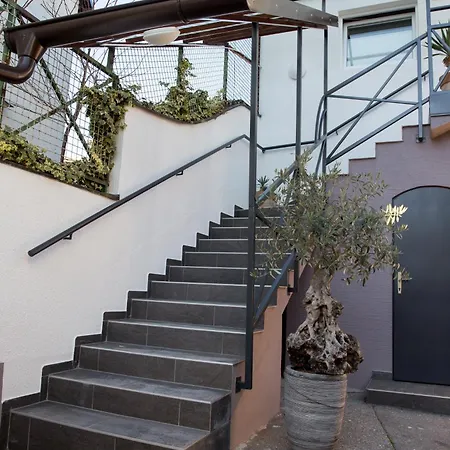 Apartament Shishka *