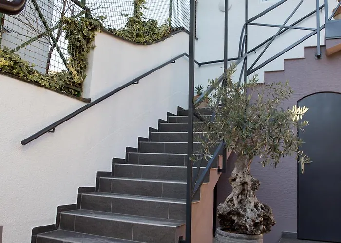 Apartament Shishka *