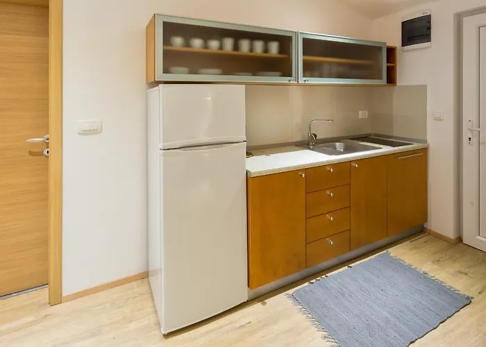 Apartament Shishka Lublana