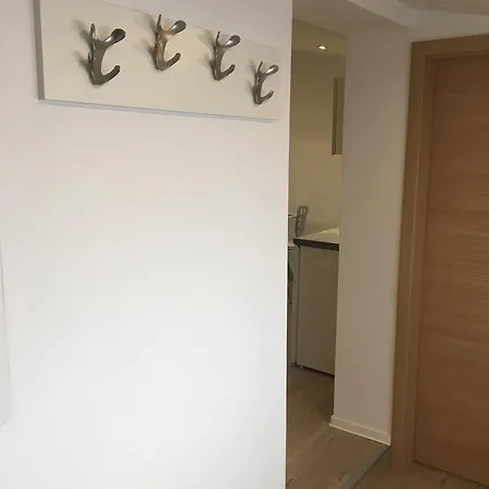 Apartament Shishka
