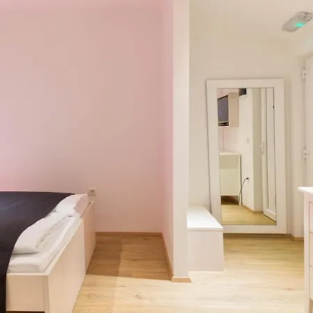 Shishka Apartment